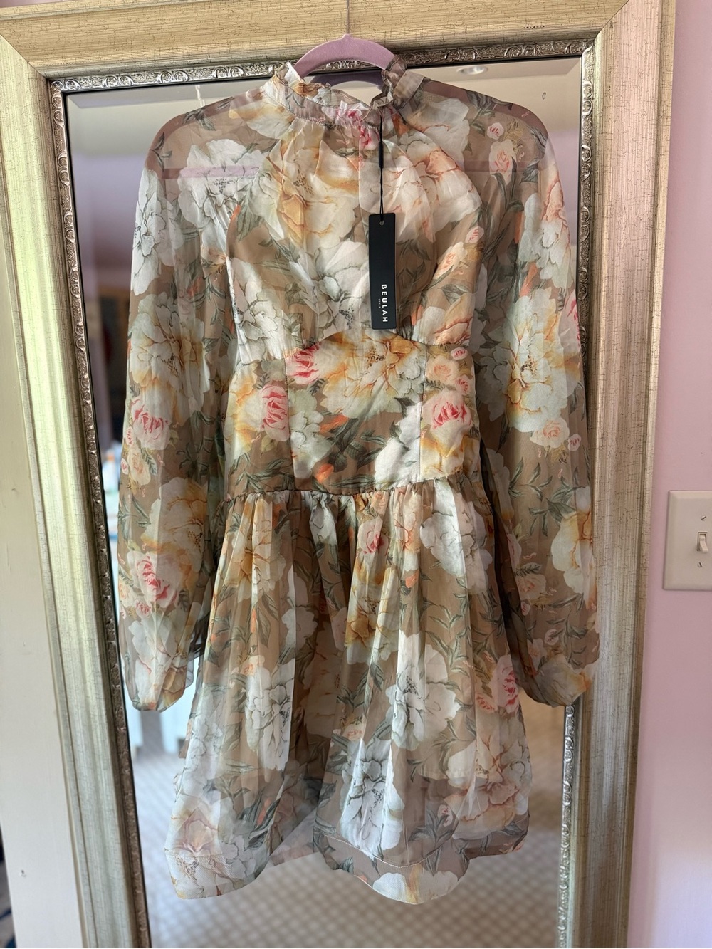 Reformation Sheer Floral Long-Sleeve Mini Dress in Sage and Blush